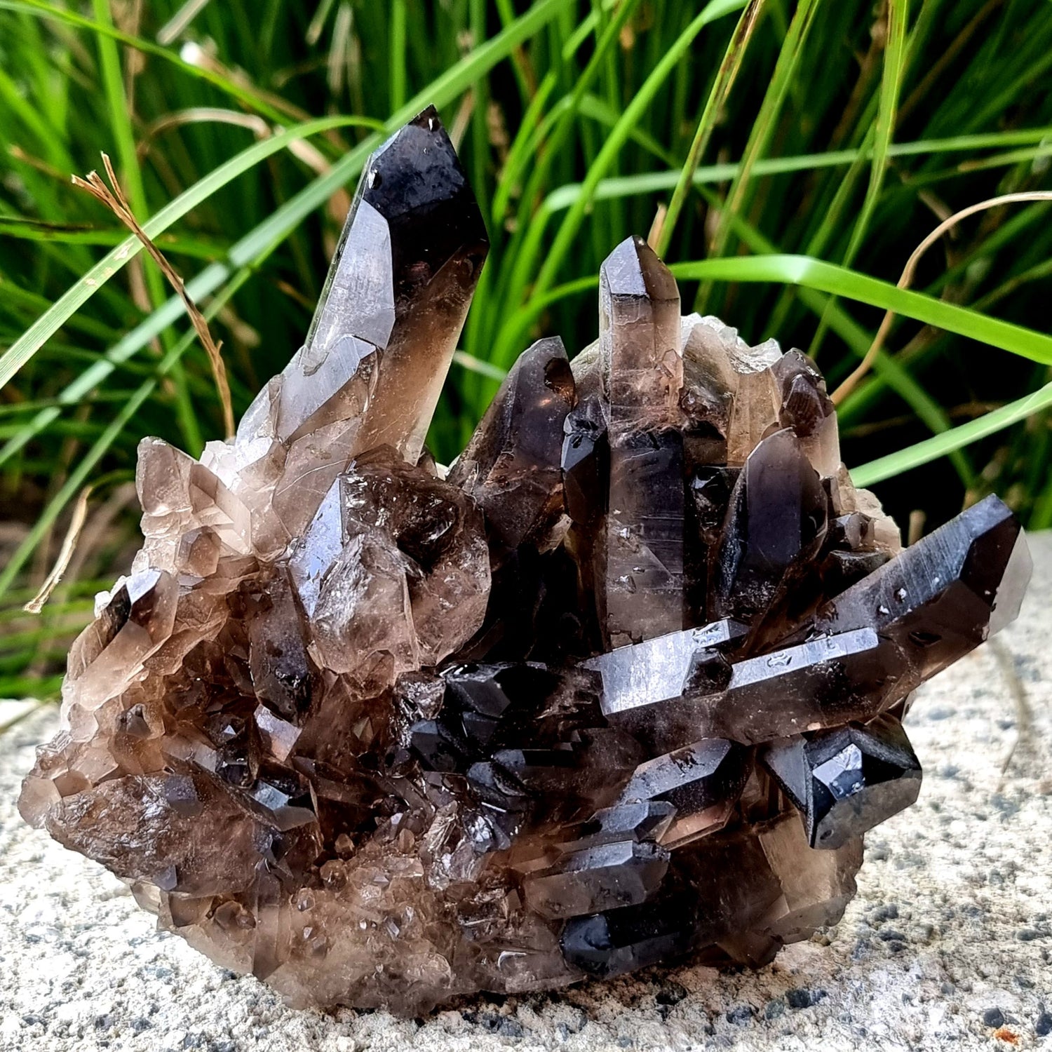 Crystals & Minerals