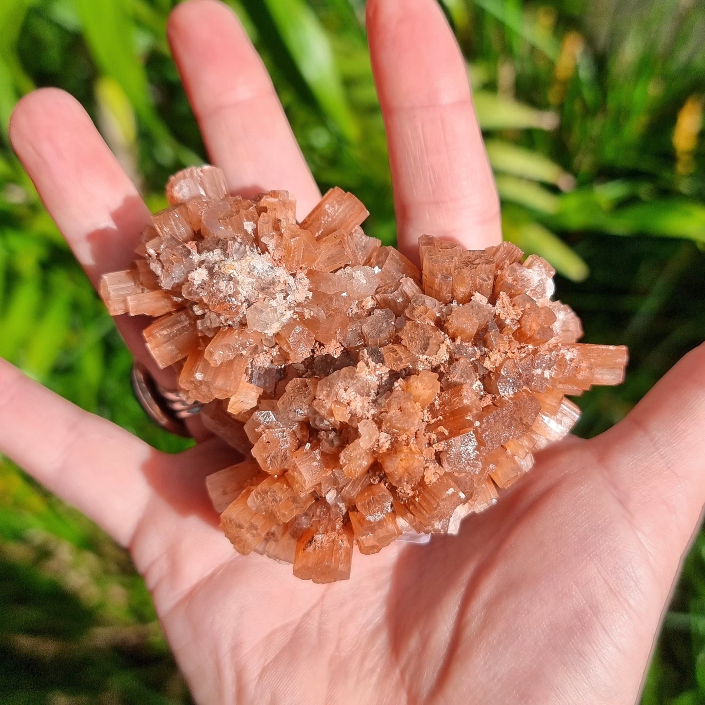 Aragonite Sputnik Cluster #1414