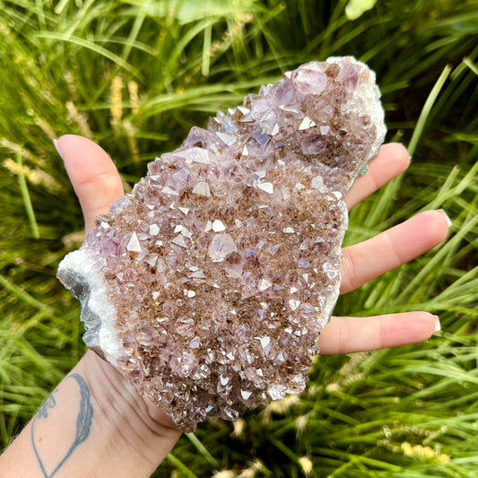 Amethyst Cluster #1483