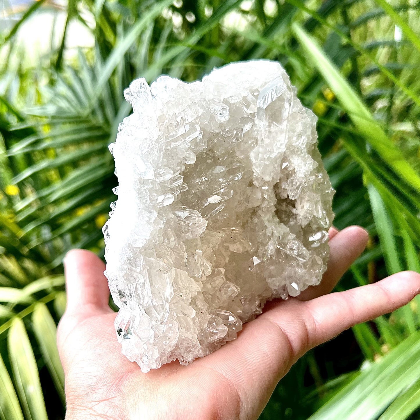 Clear Quartz Cluster #1553