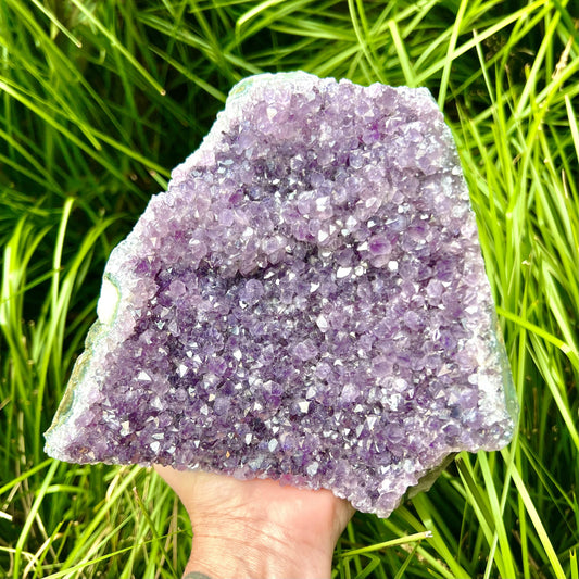 Amethyst Cluster #1694