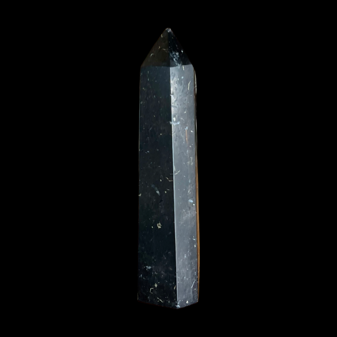 Shungite Point #1857