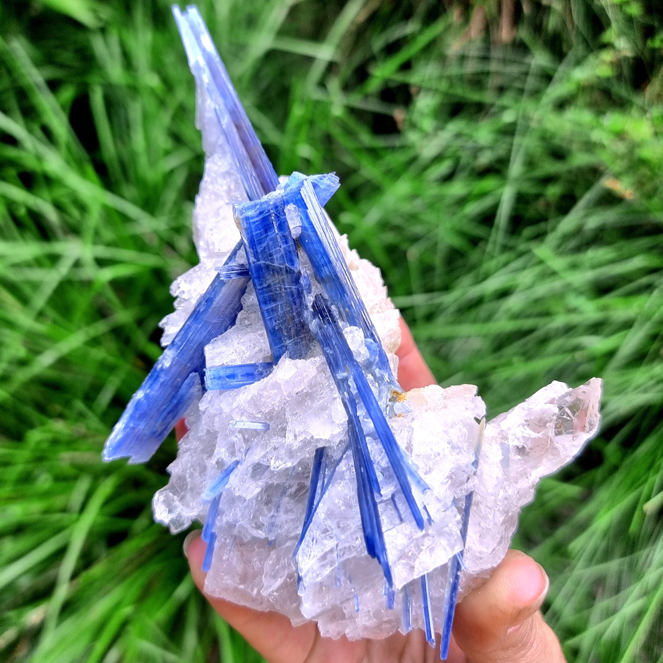 Kyanite Cluster #2083