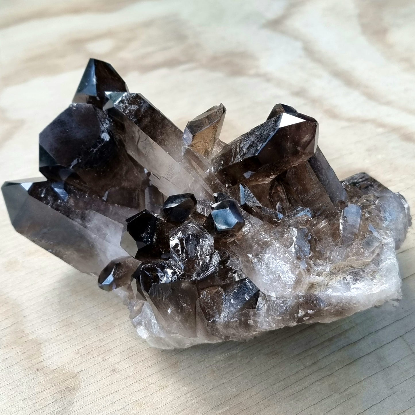Smoky Quartz Cluster #1883