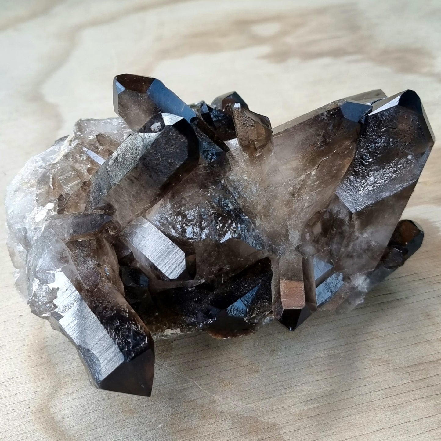 Smoky Quartz Cluster #1883