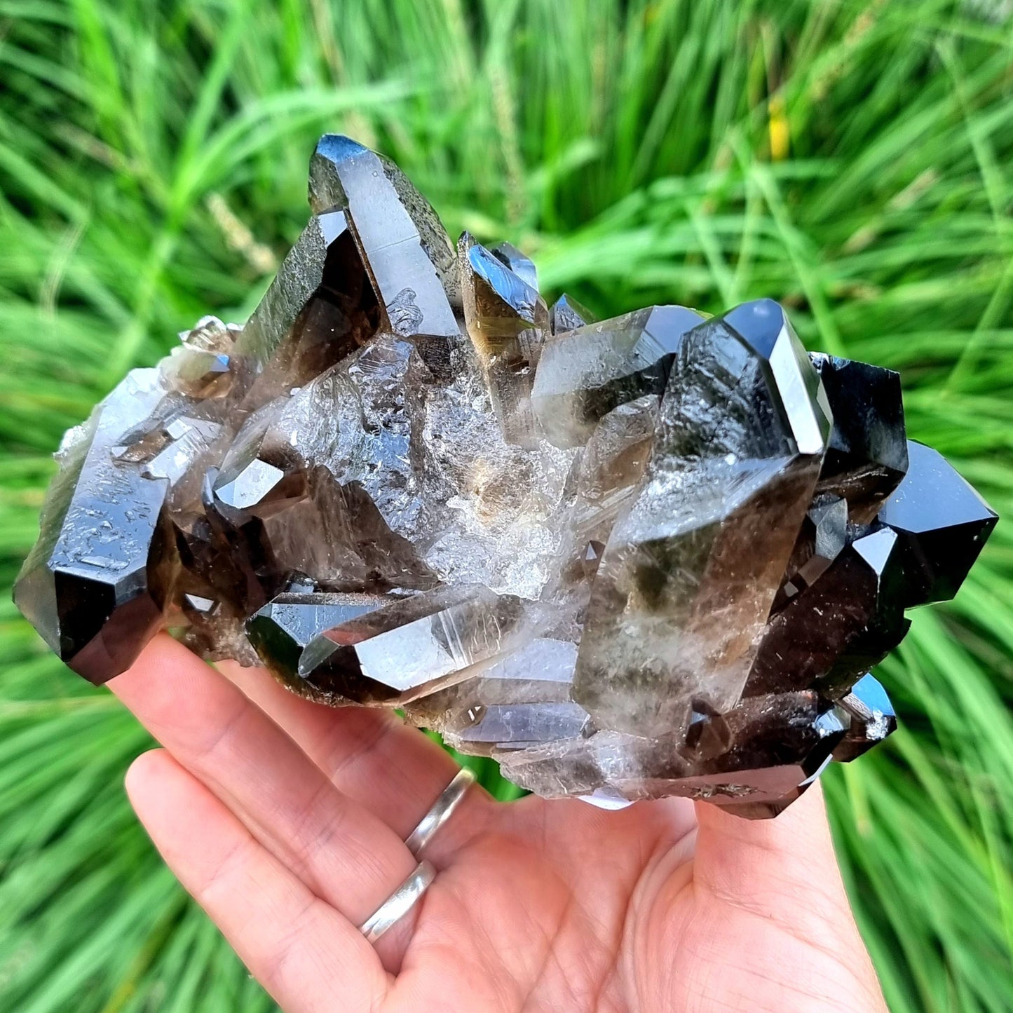 Smoky Quartz Cluster #1883