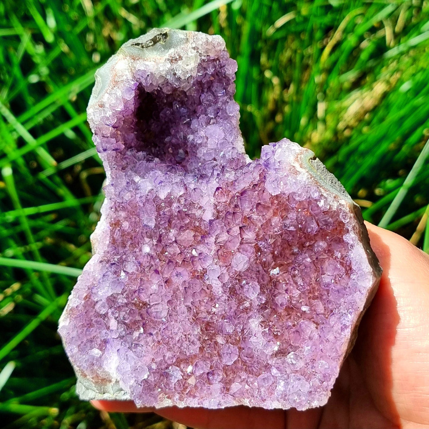 Amethyst Cluster #1968