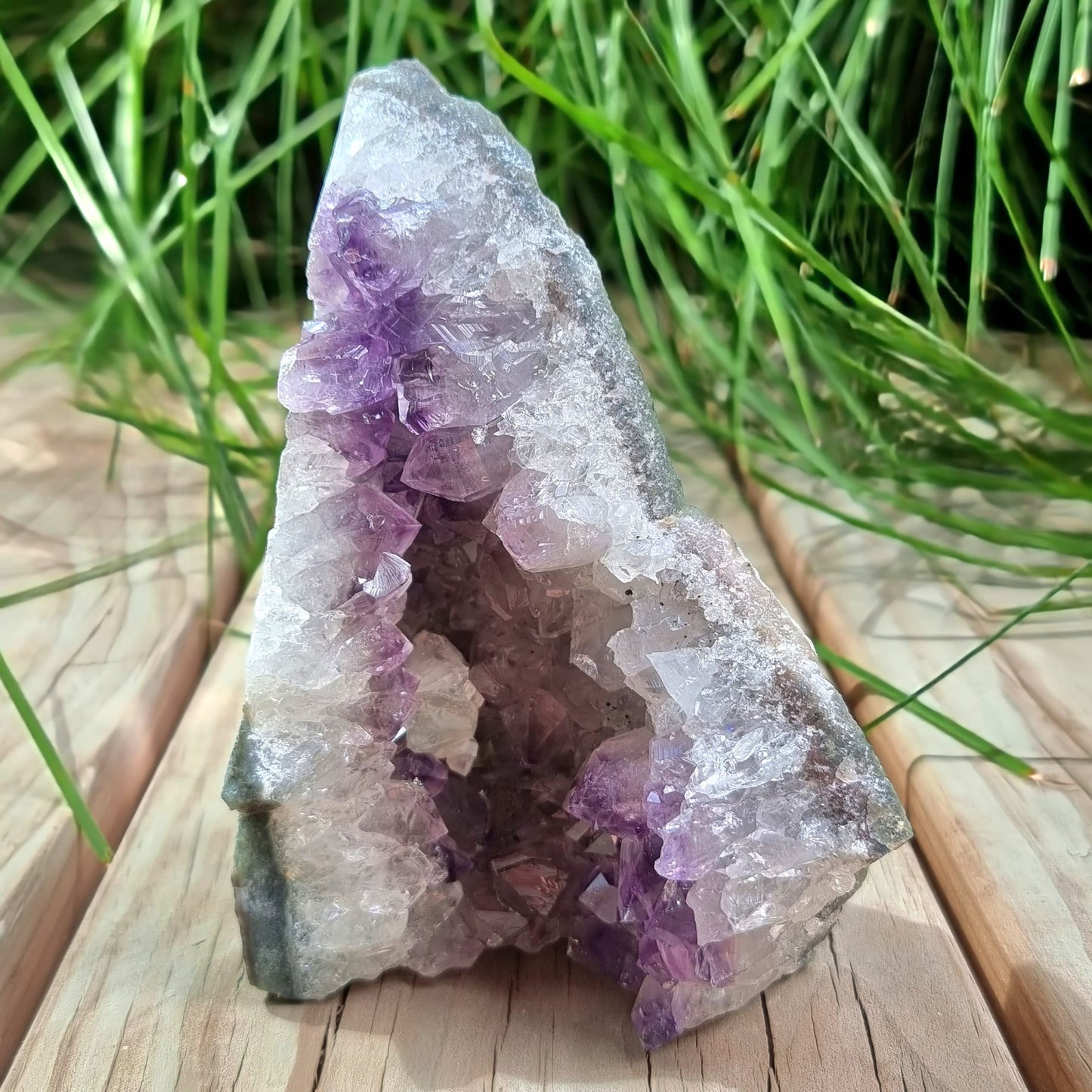 Amethyst Cluster #1969
