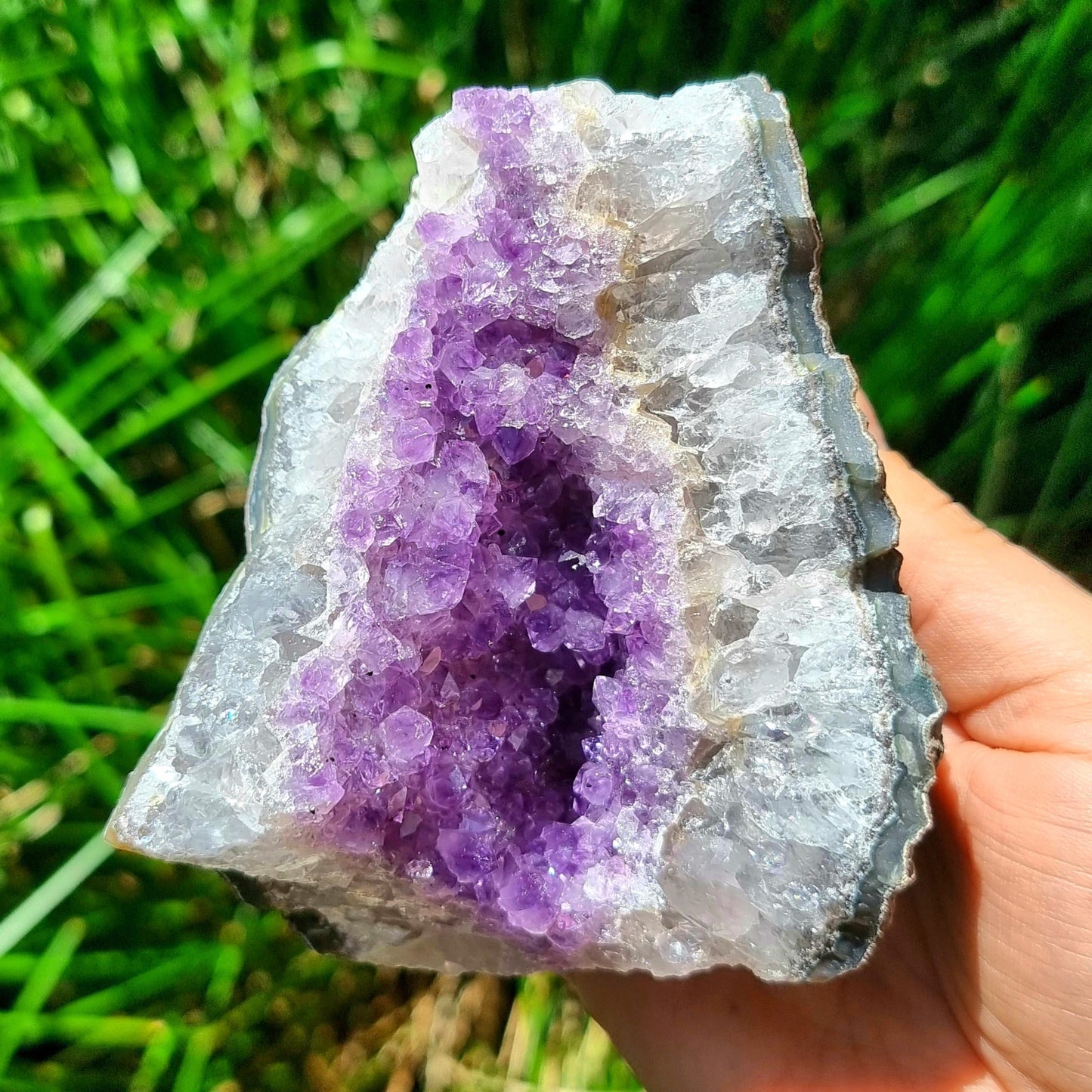Amethyst Cluster #1970