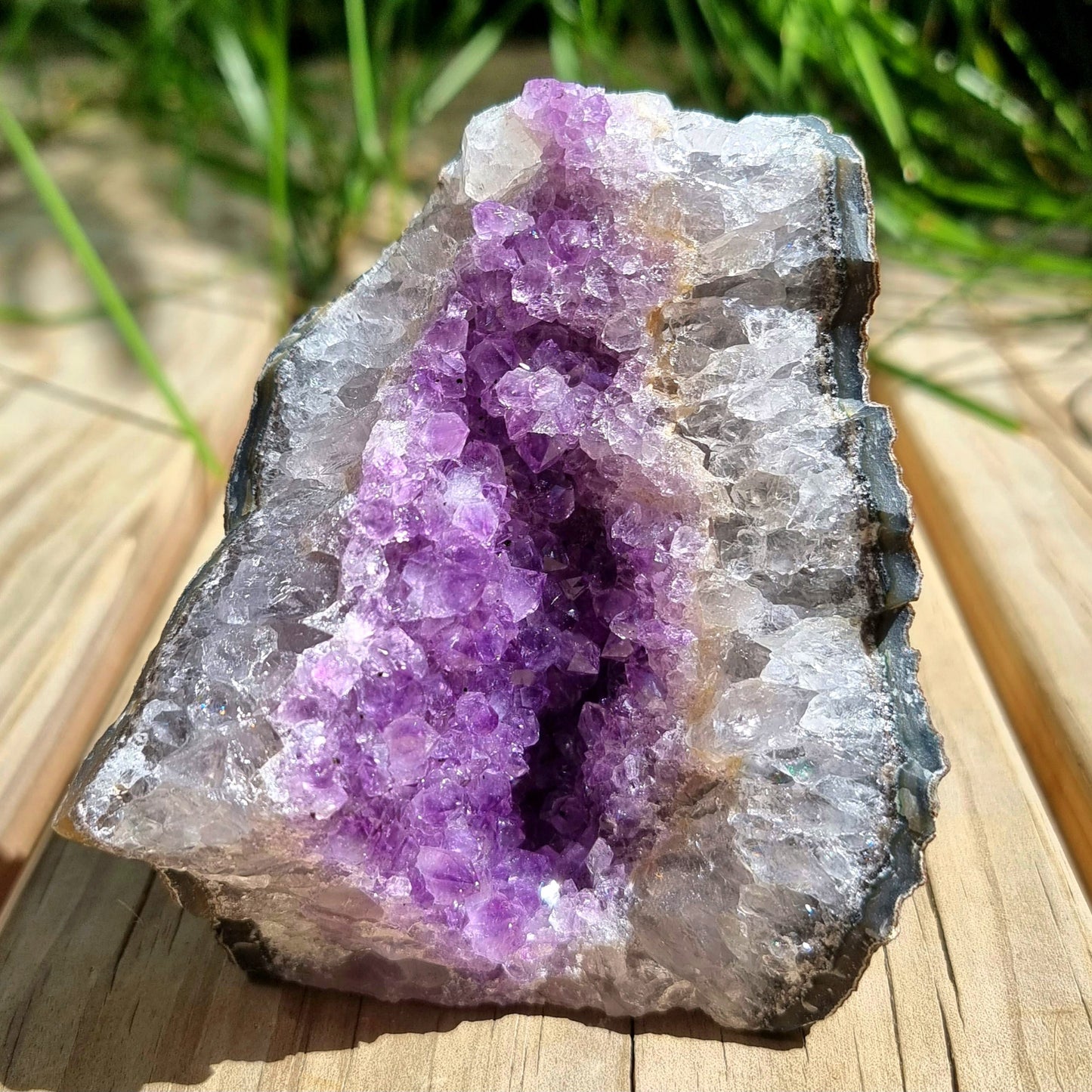 Amethyst Cluster #1970