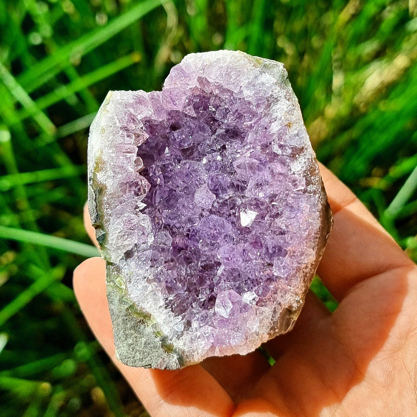 Amethyst Cluster #1974