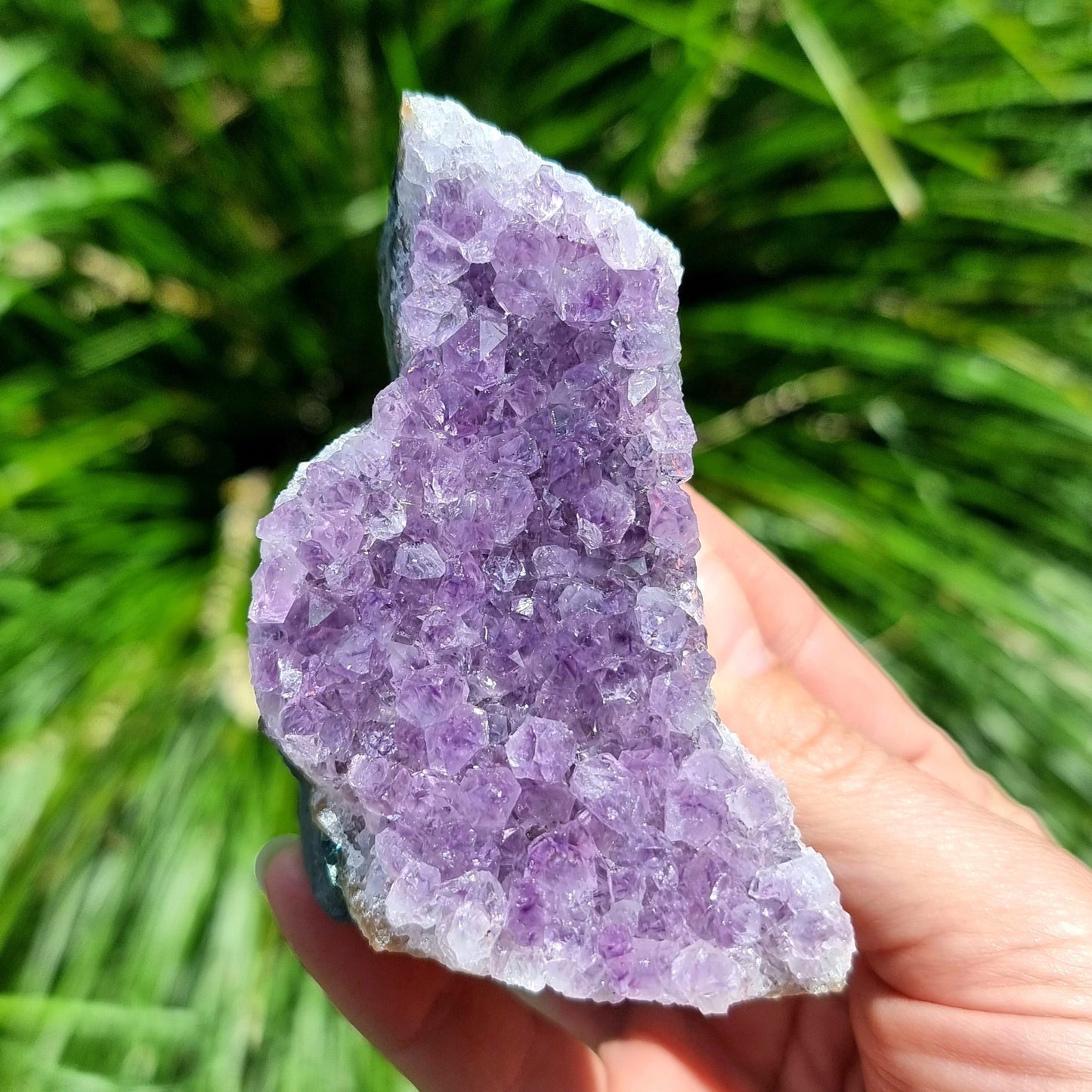 Amethyst Cluster #1975