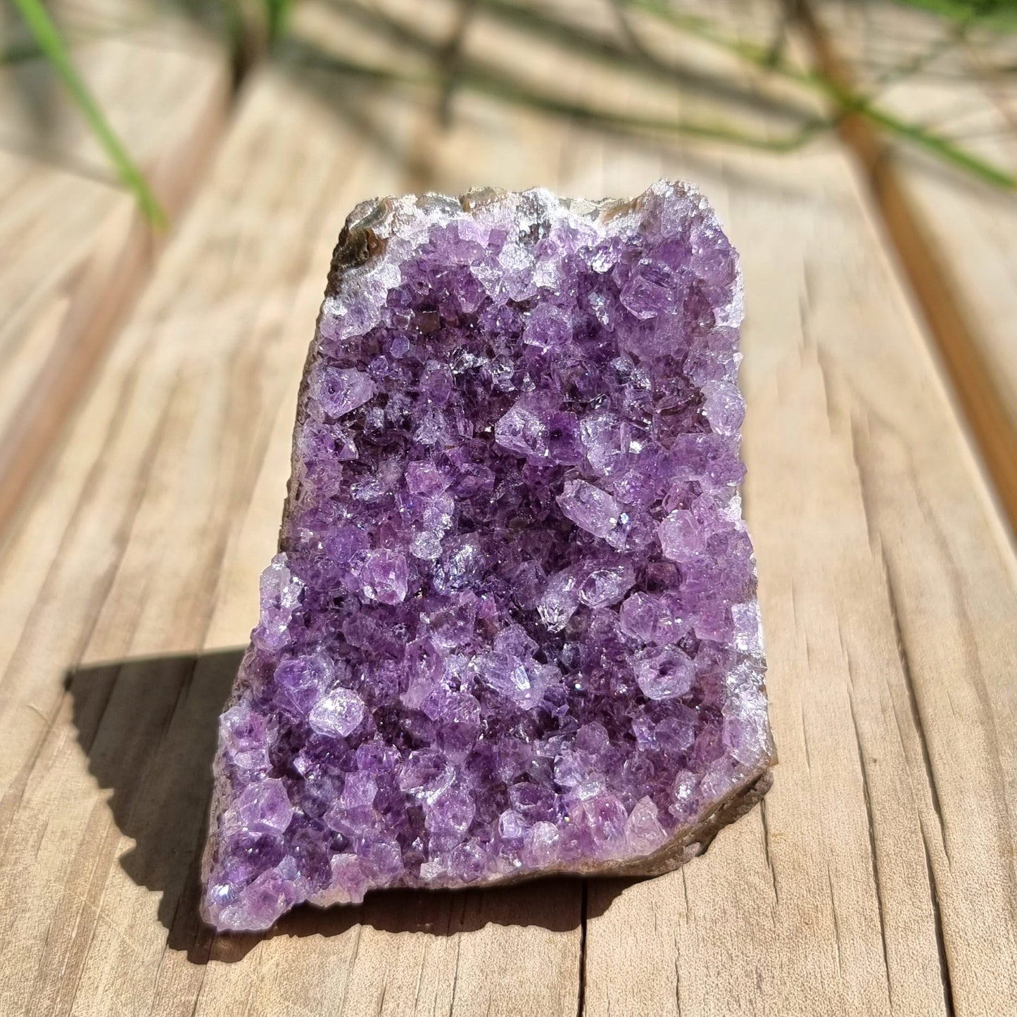 Amethyst Cluster #1976