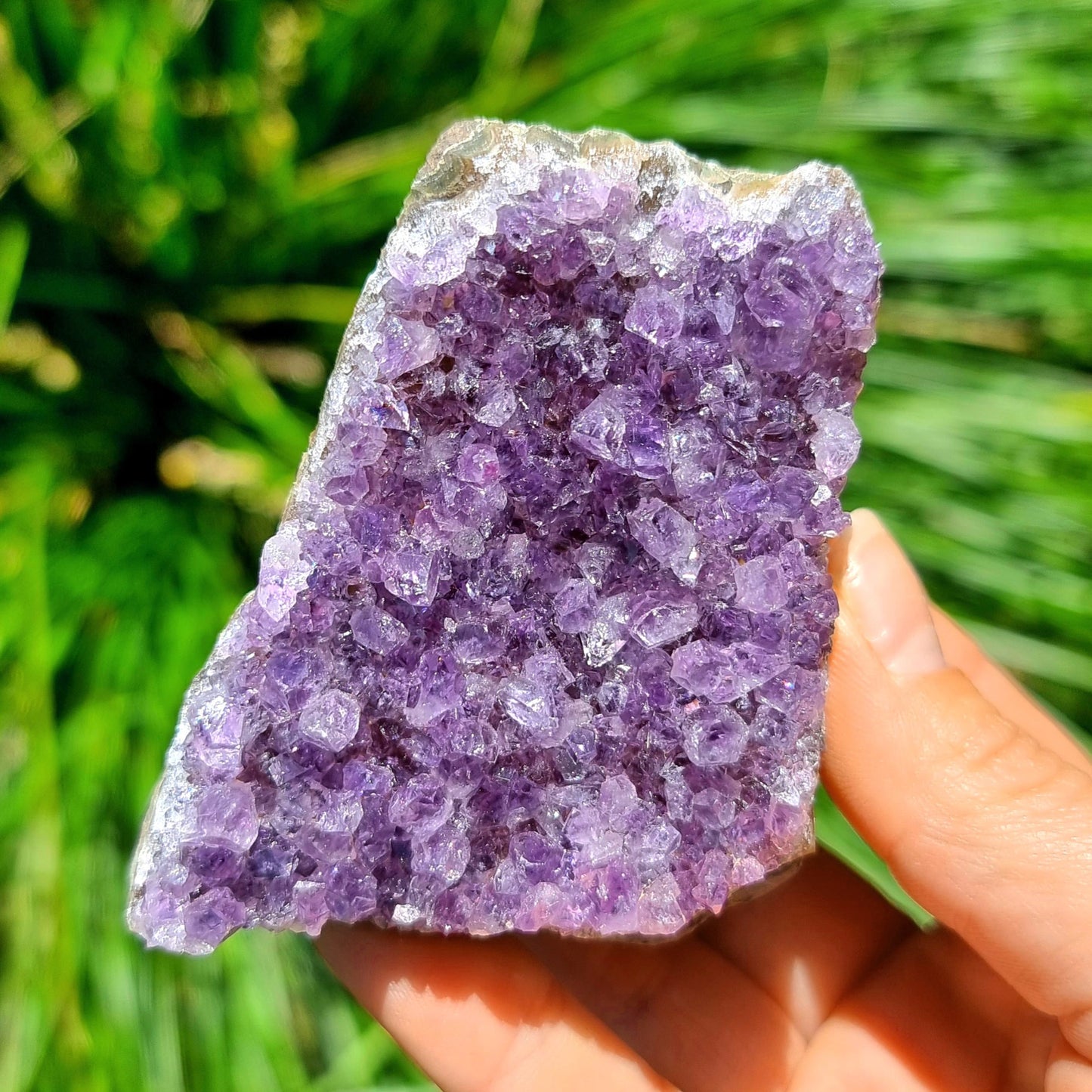 Amethyst Cluster #1976