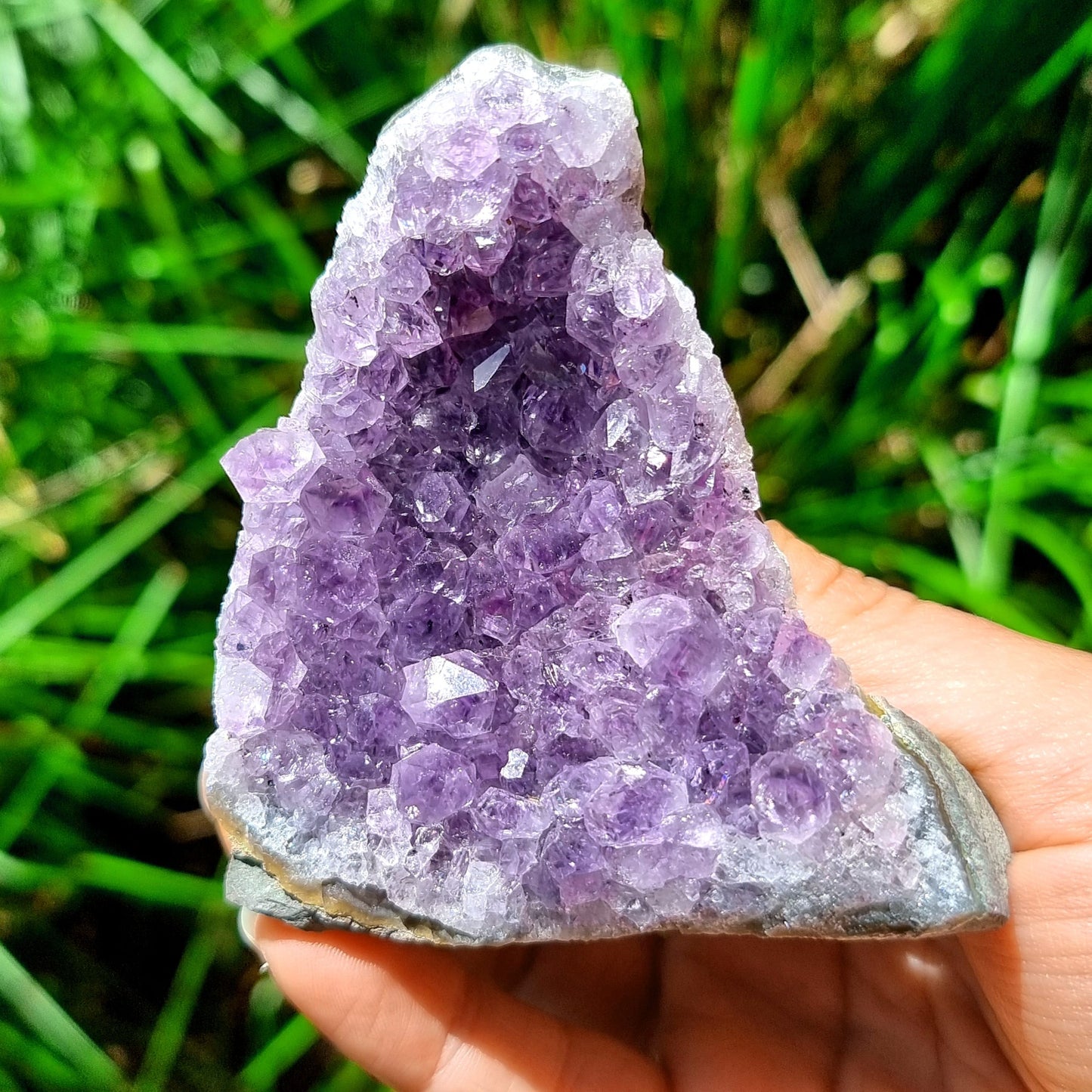 Amethyst Cluster #1977