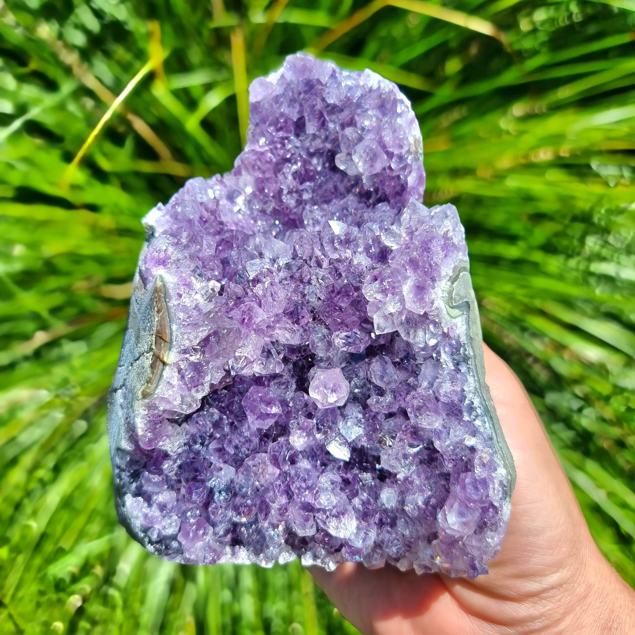 Amethyst Cluster #1966