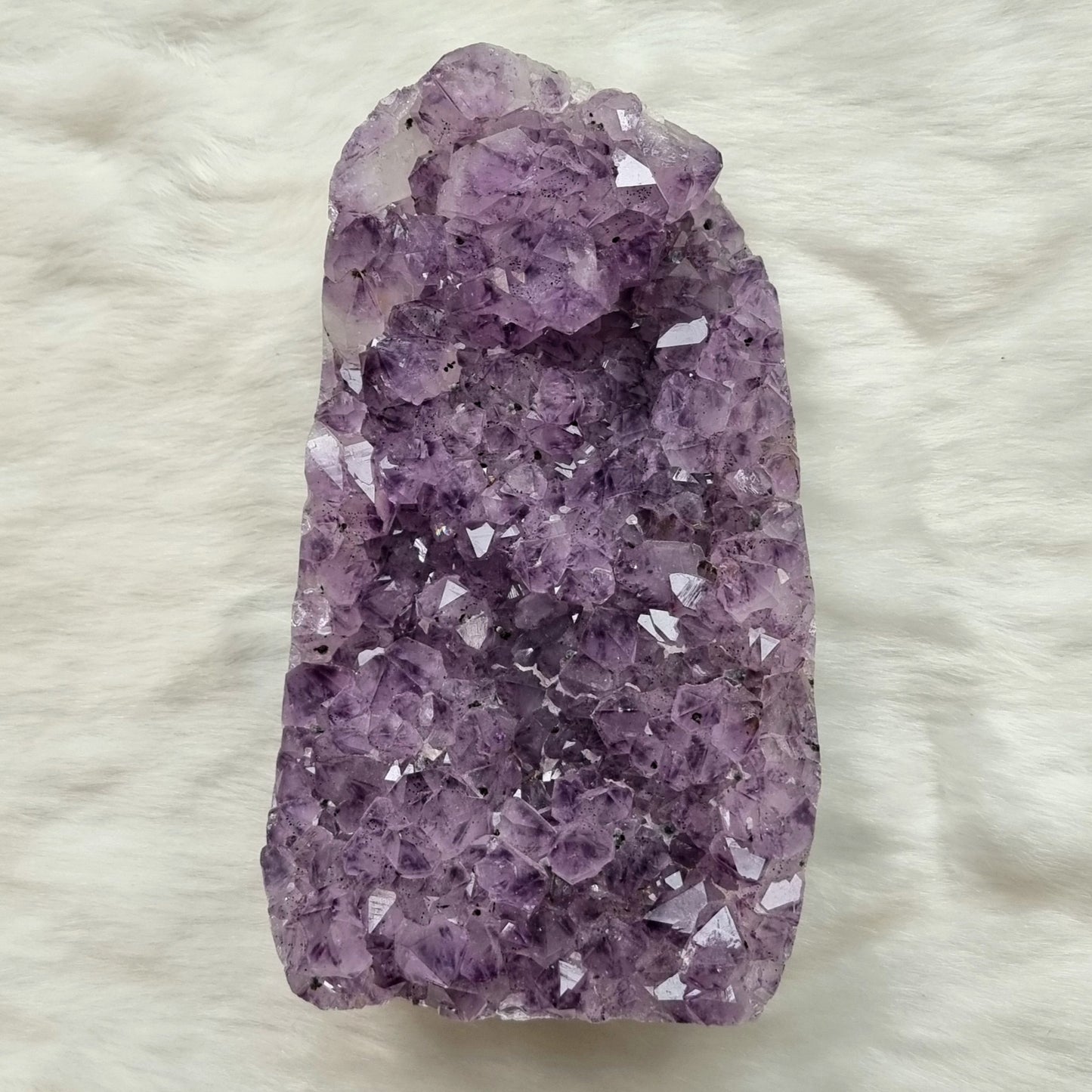 Amethyst Cluster #1653