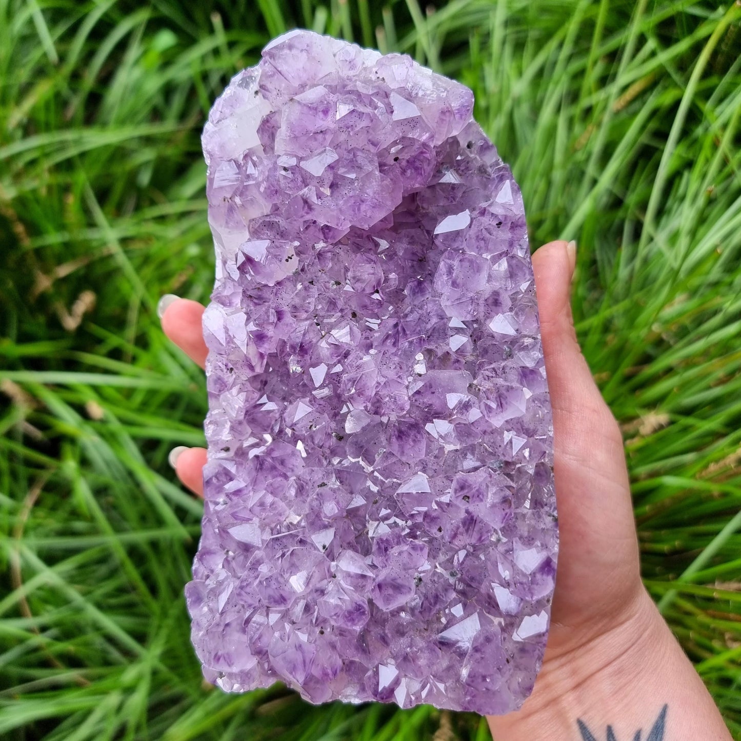 Amethyst Cluster #1653