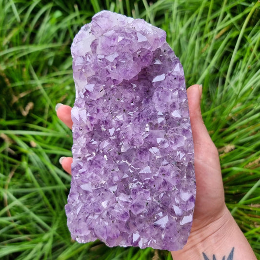 Amethyst Cluster #1653