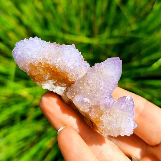 Amethyst Spirit Cactus Quartz #1959