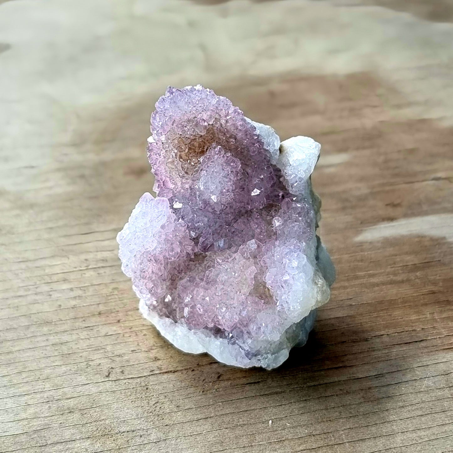 Amethyst Spirit Cactus Quartz #1961