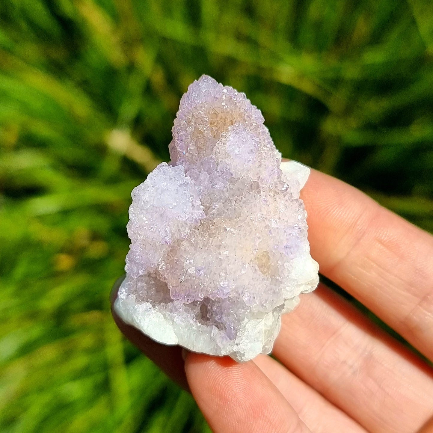 Amethyst Spirit Cactus Quartz #1961