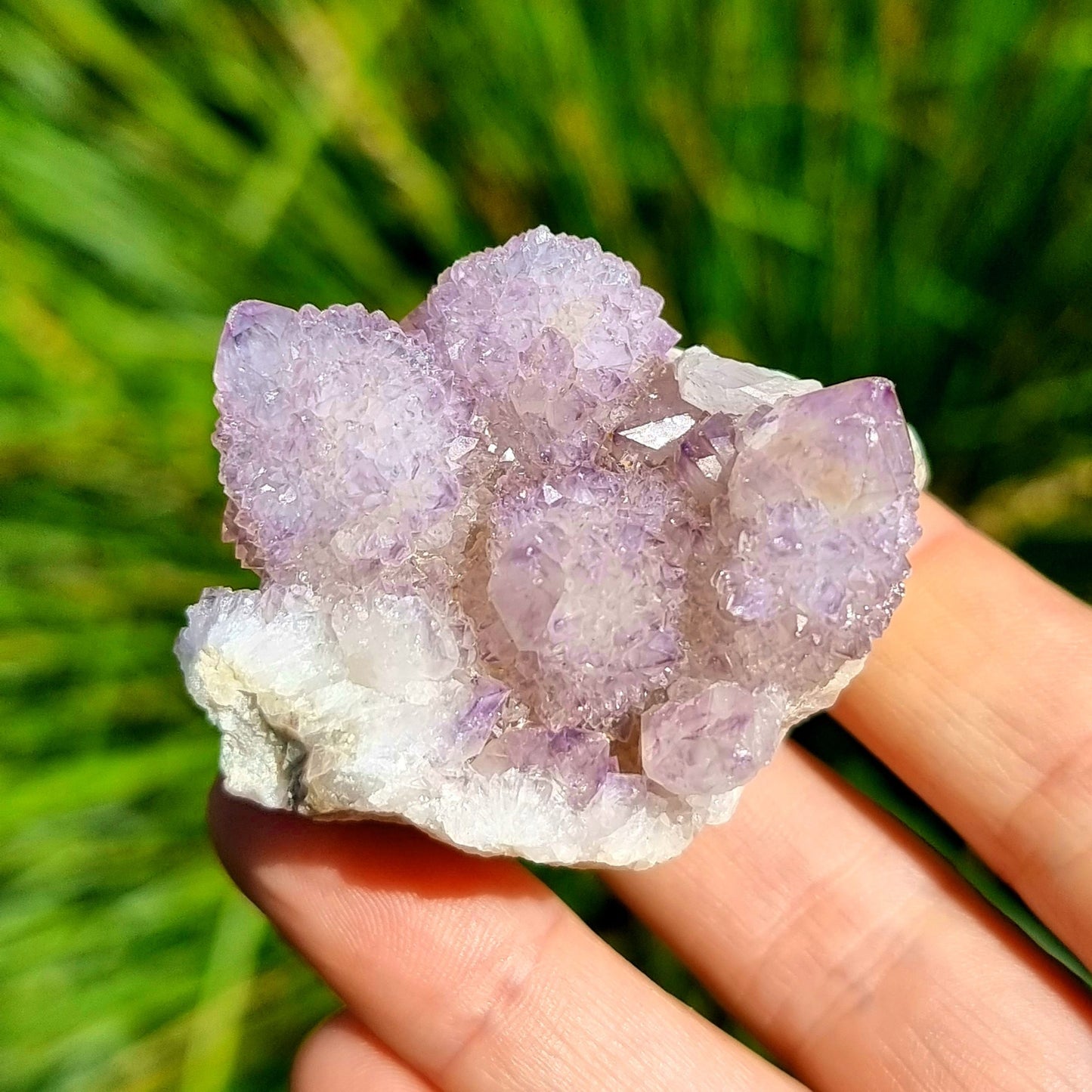 Amethyst Spirit Cactus Quartz #1962