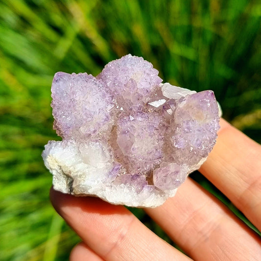 Amethyst Spirit Cactus Quartz #1962