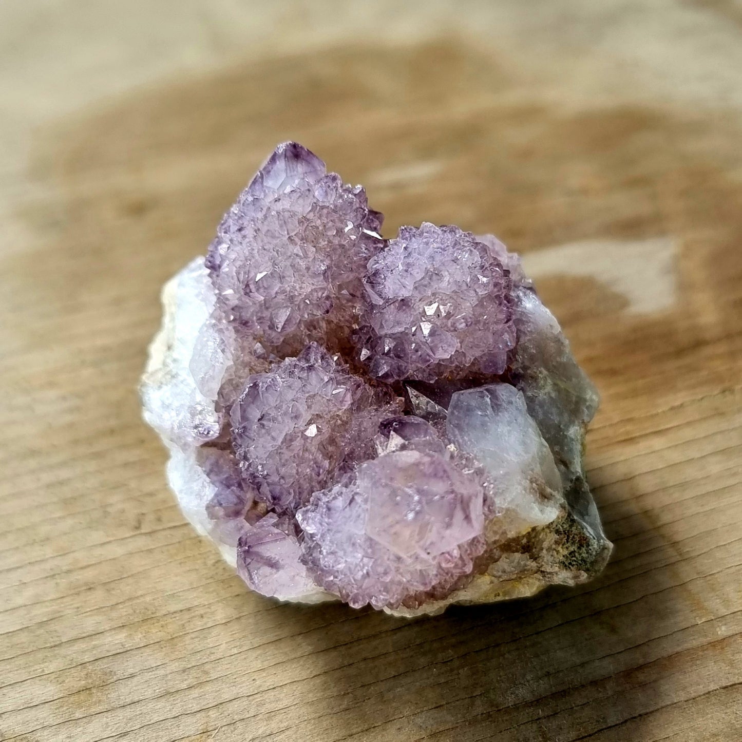 Amethyst Spirit Cactus Quartz #1962