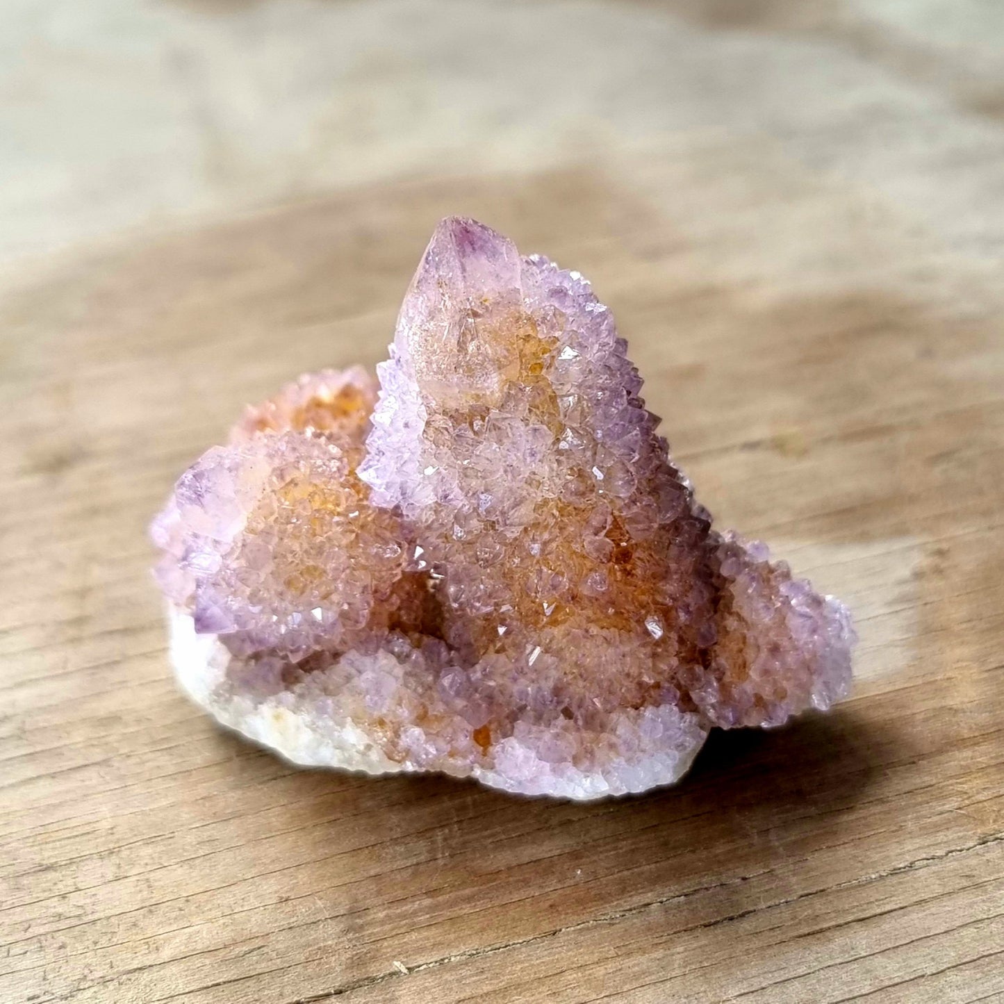 Amethyst Spirit Cactus Quartz #1963