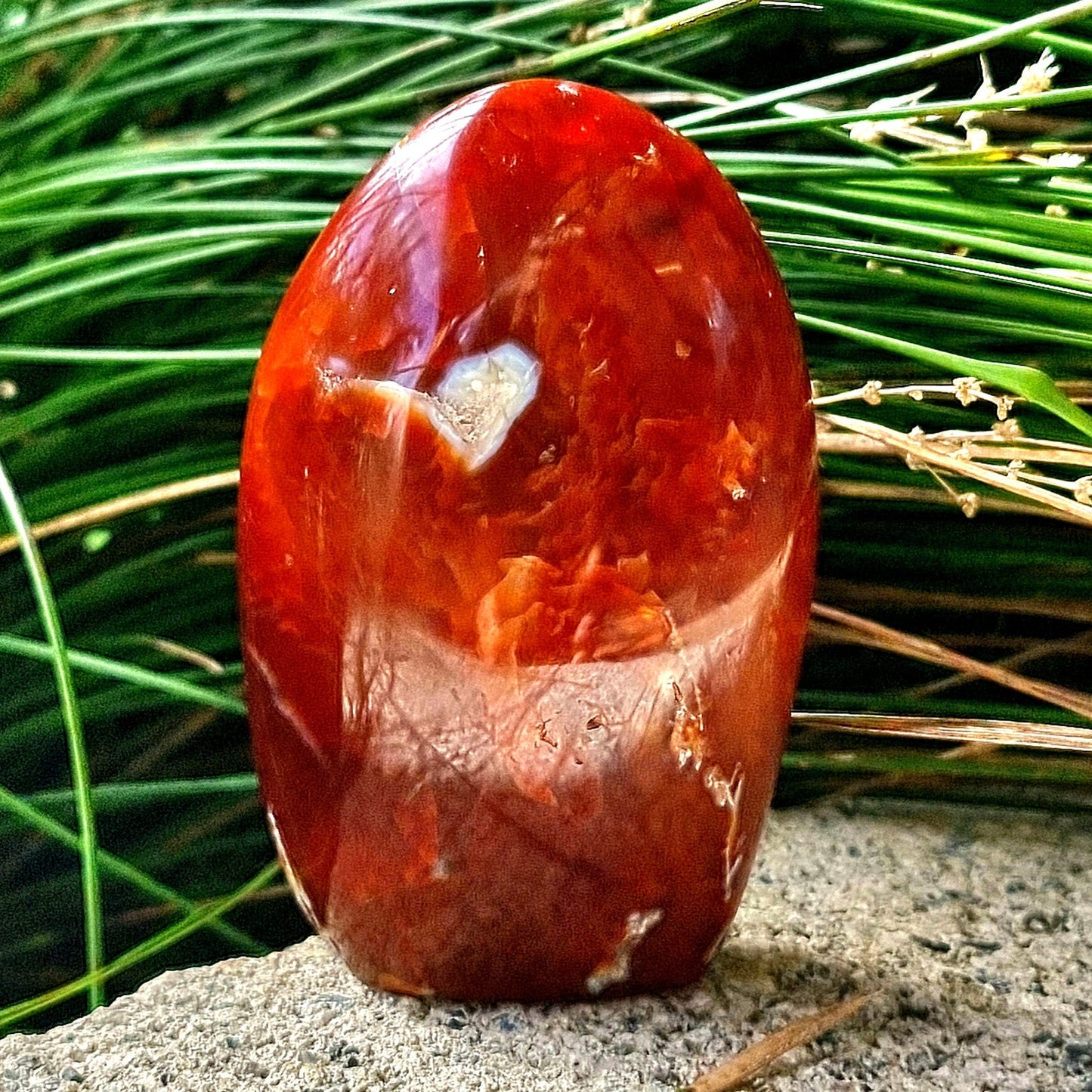 Carnelian Freeform #2125
