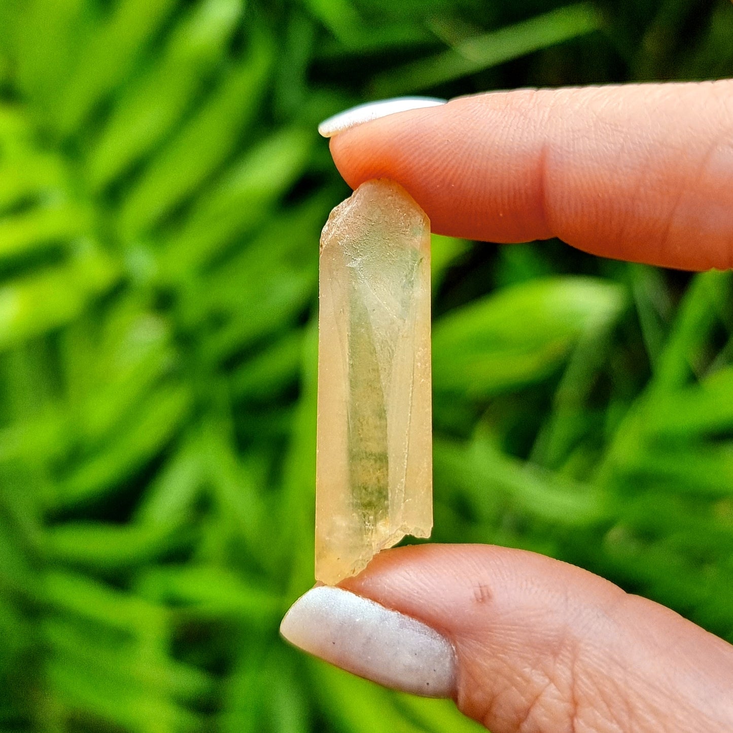Citrine Rough #1453