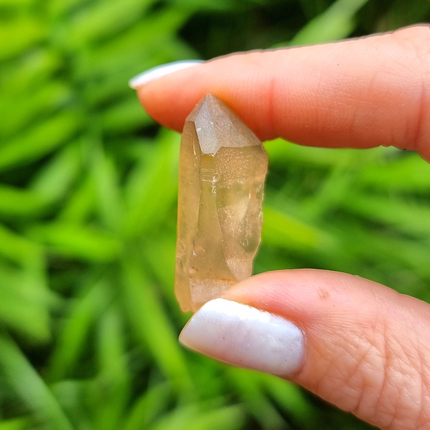 Citrine Rough #1453