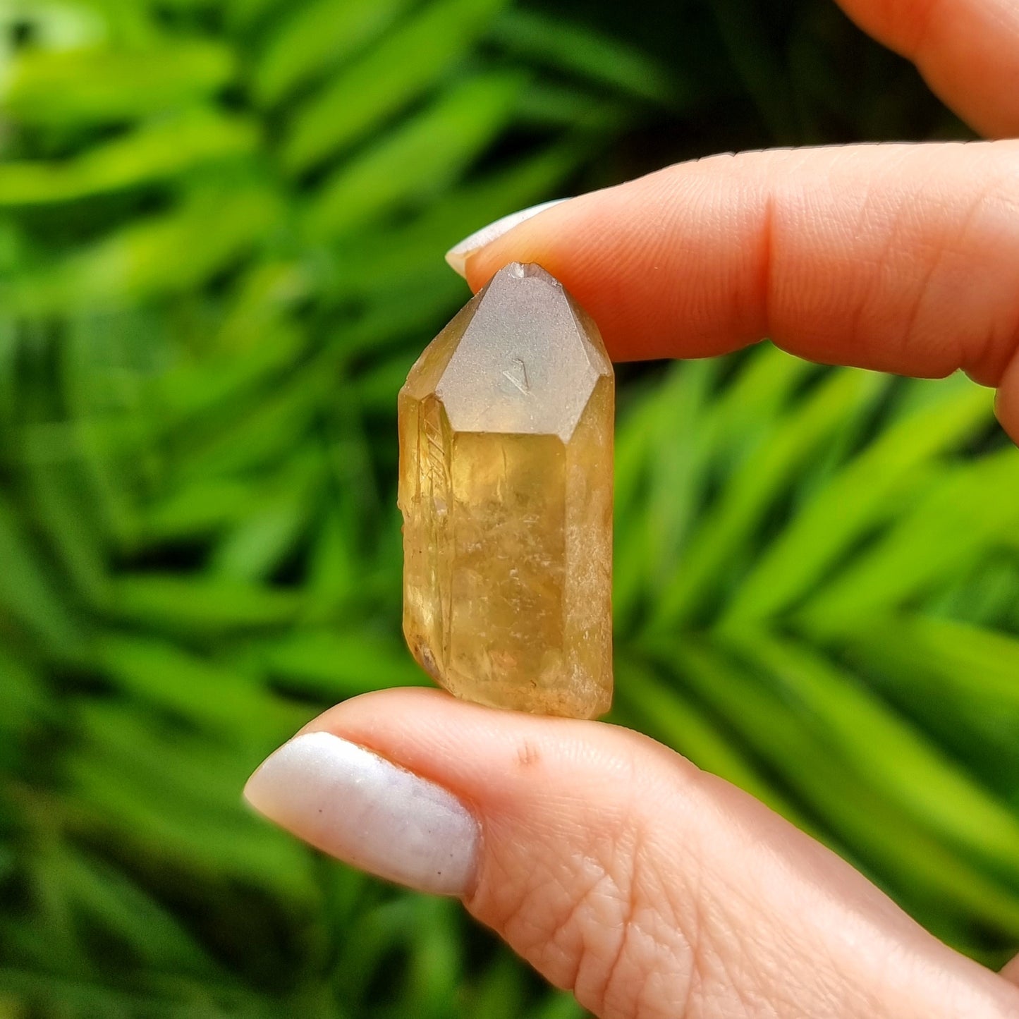 Citrine Rough #1453