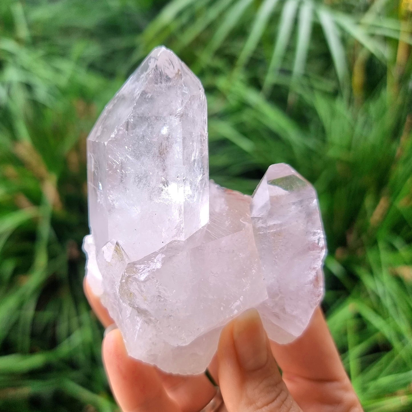 Clear Quartz Cluster #1638