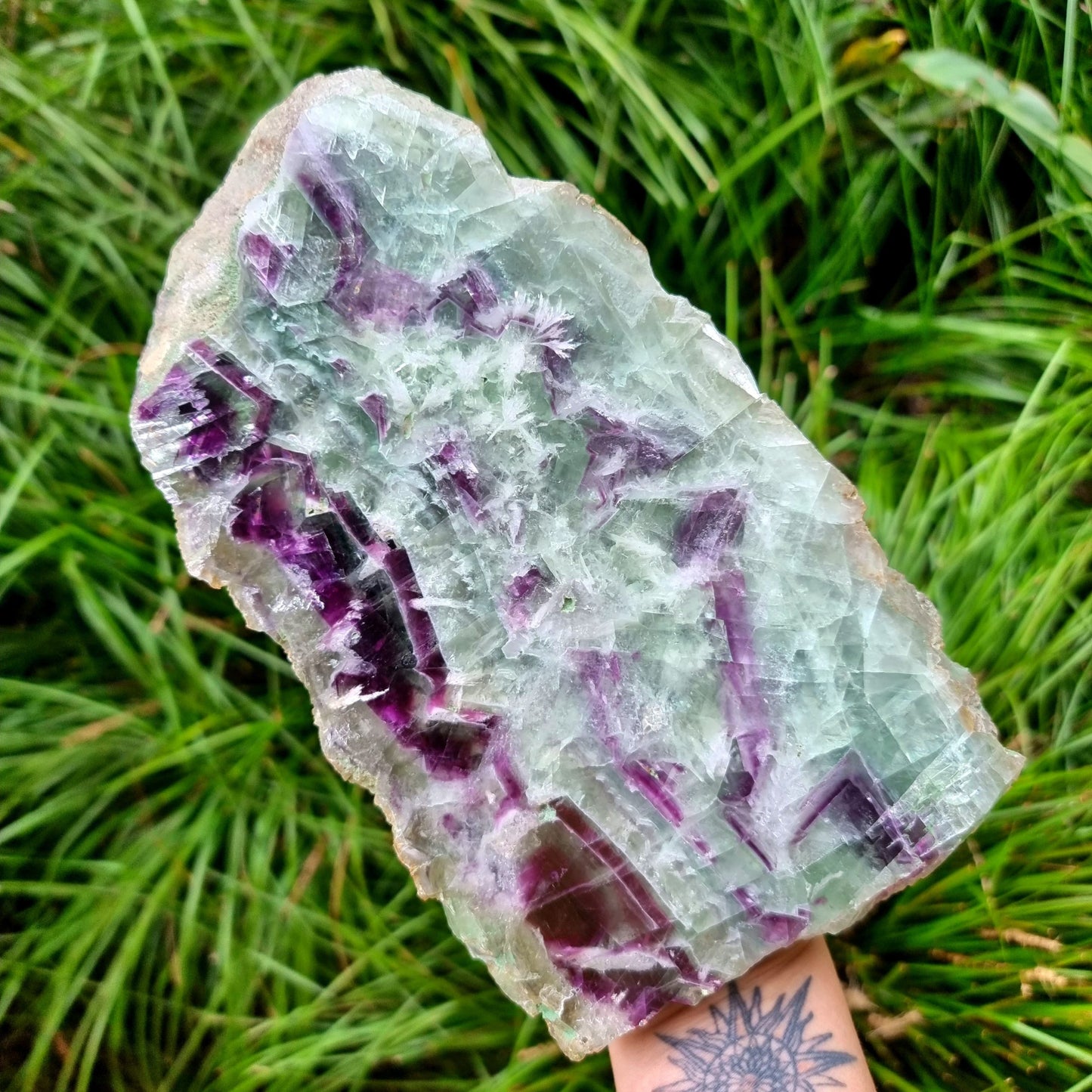 Fluorite Slice #1110