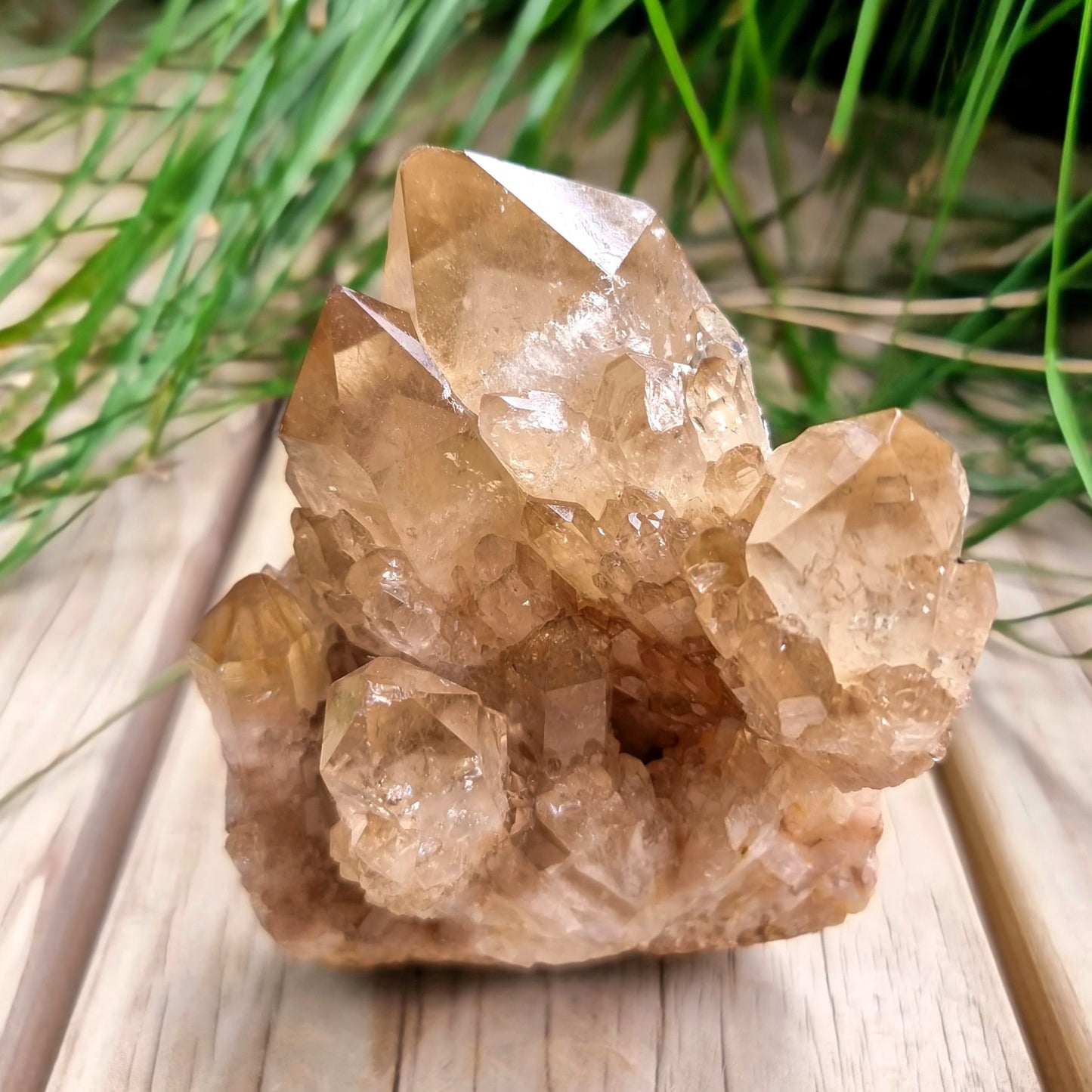 Kundalini Citrine Cluster #2097