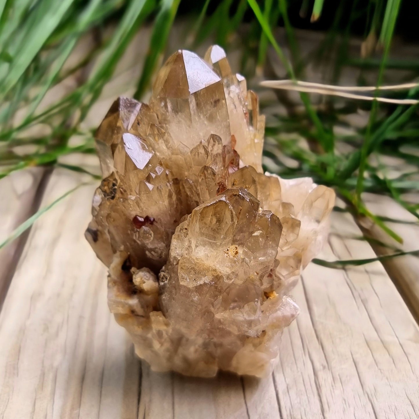 Kundalini Citrine Cluster #2098