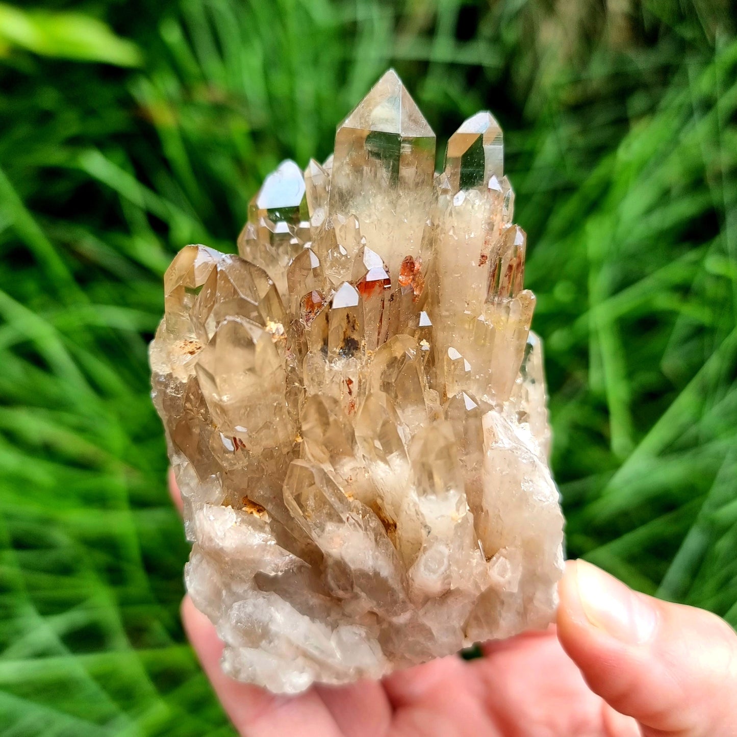 Kundalini Citrine Cluster #2098