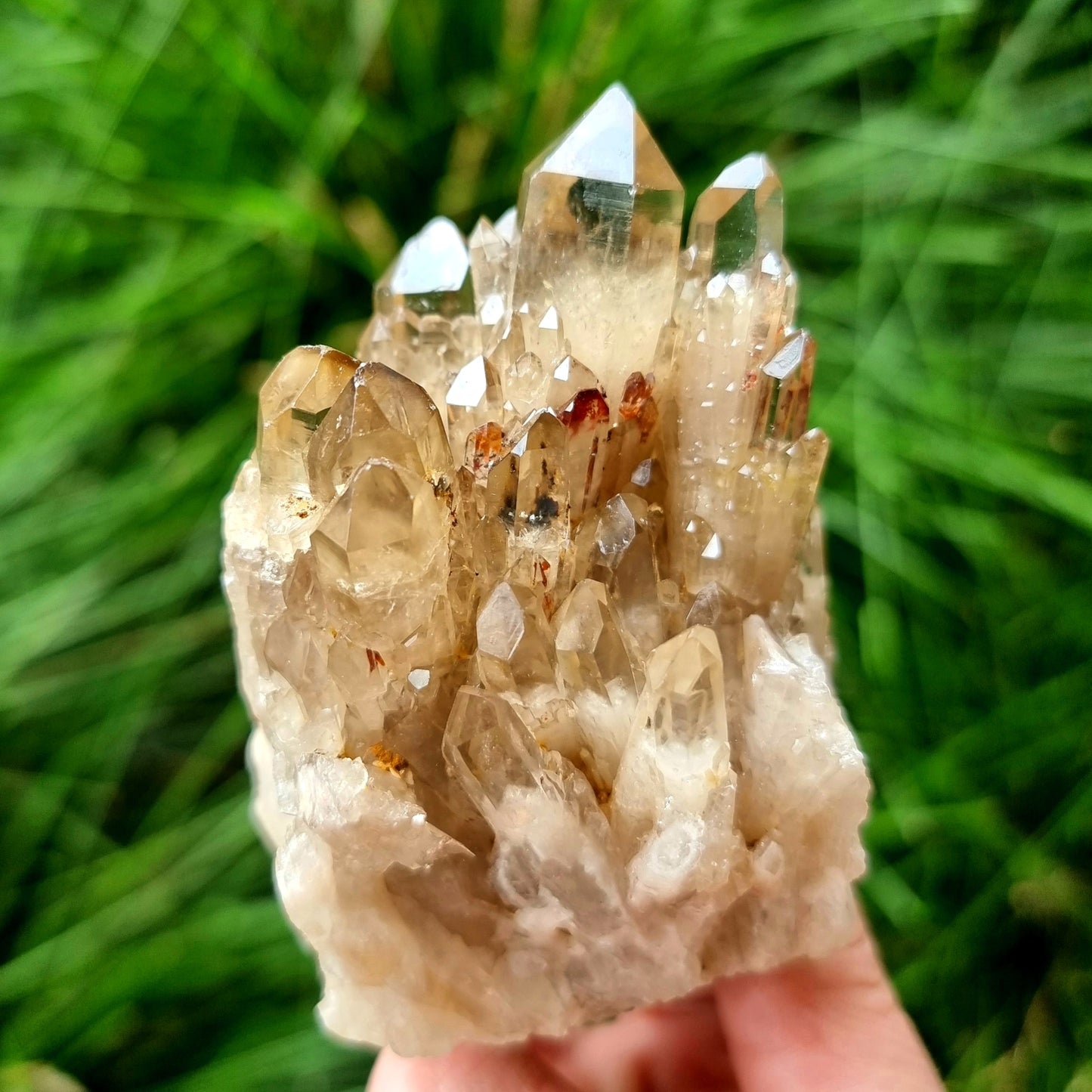 Kundalini Citrine Cluster #2098