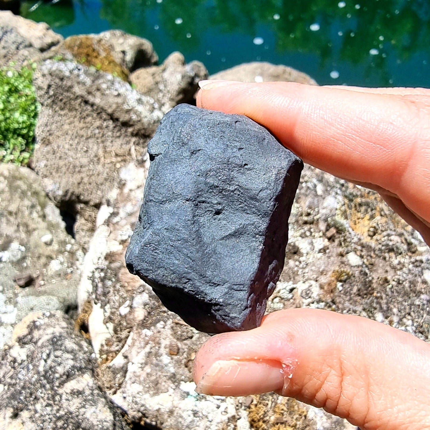 Shungite Rough #2278