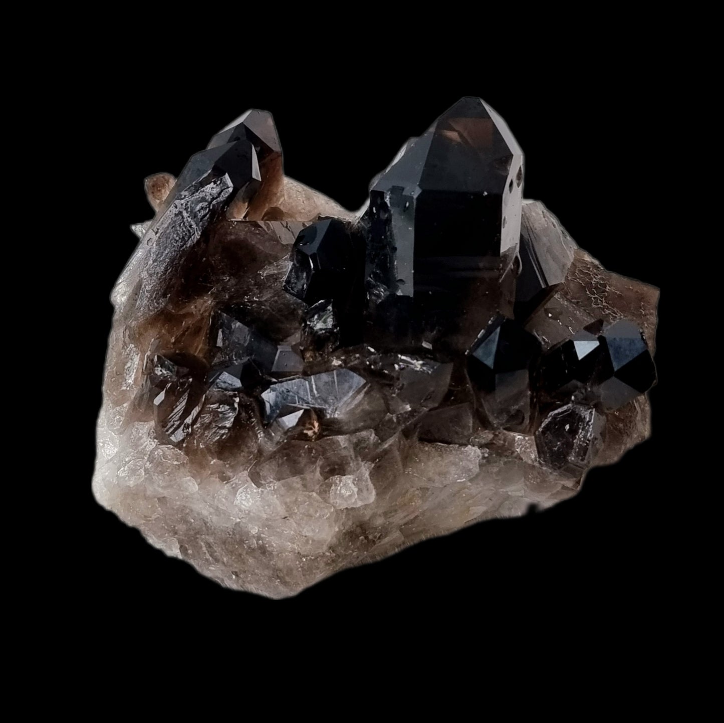 Smoky Quartz Cluster #1547