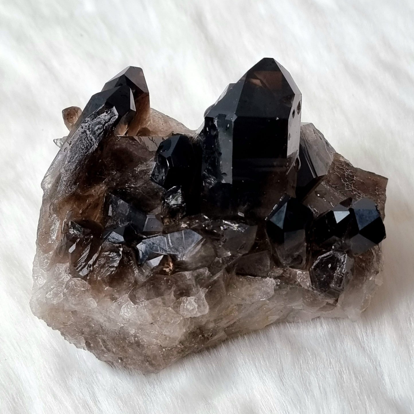 Smoky Quartz Cluster #1547