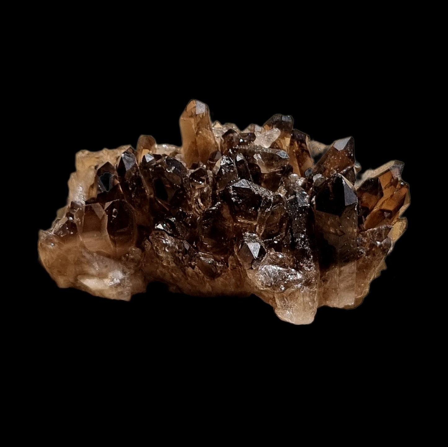 Smoky Quartz Cluster #1667