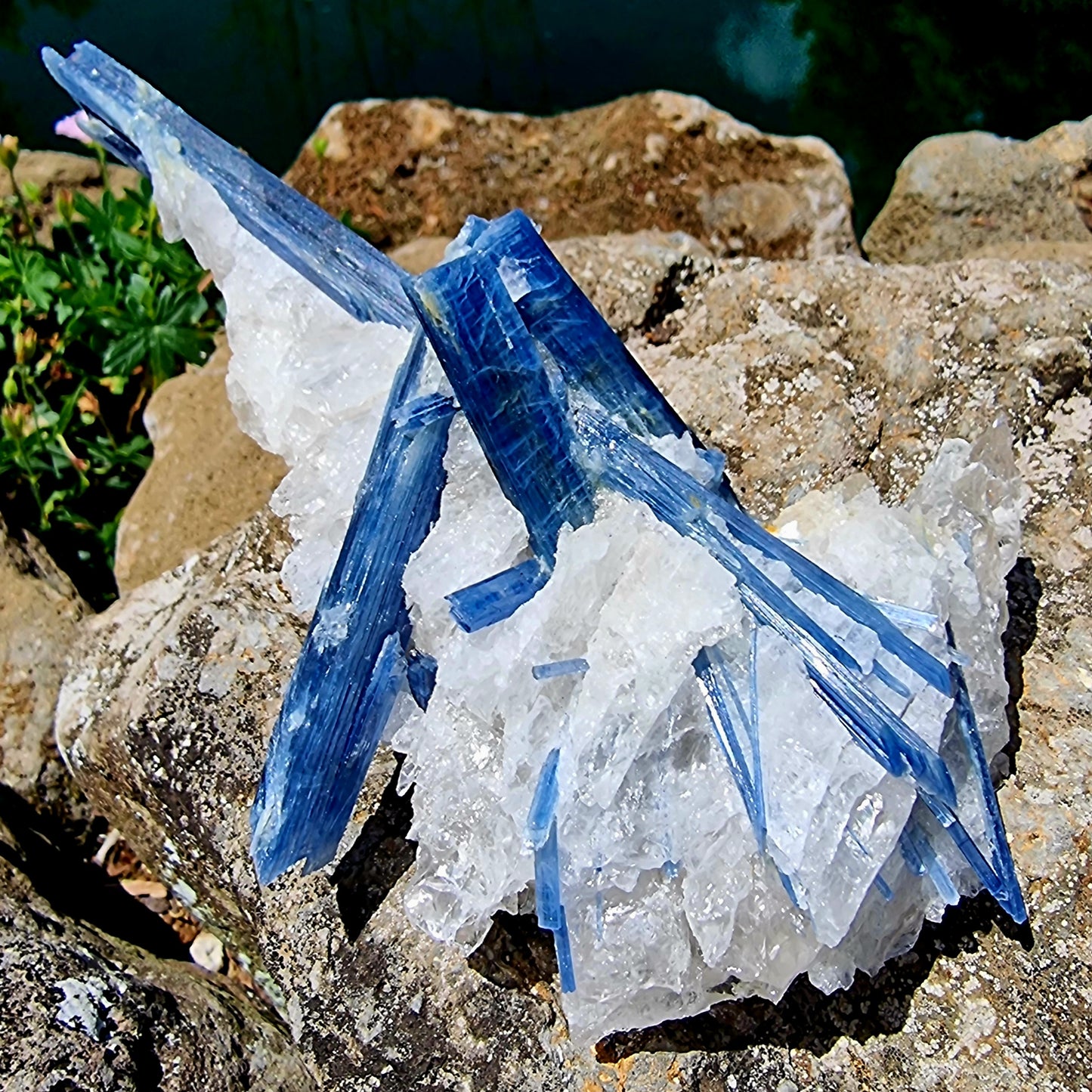 Kyanite Cluster #2083