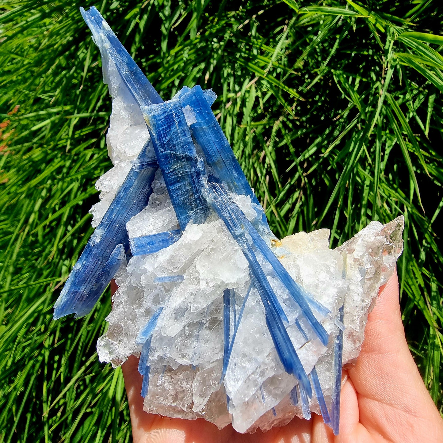 Kyanite Cluster #2083