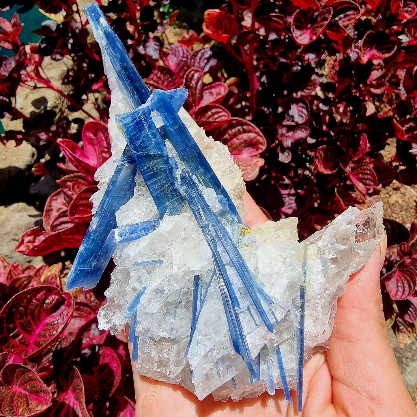 Kyanite Cluster #2083
