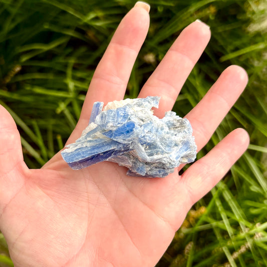 Kyanite Rough #1086