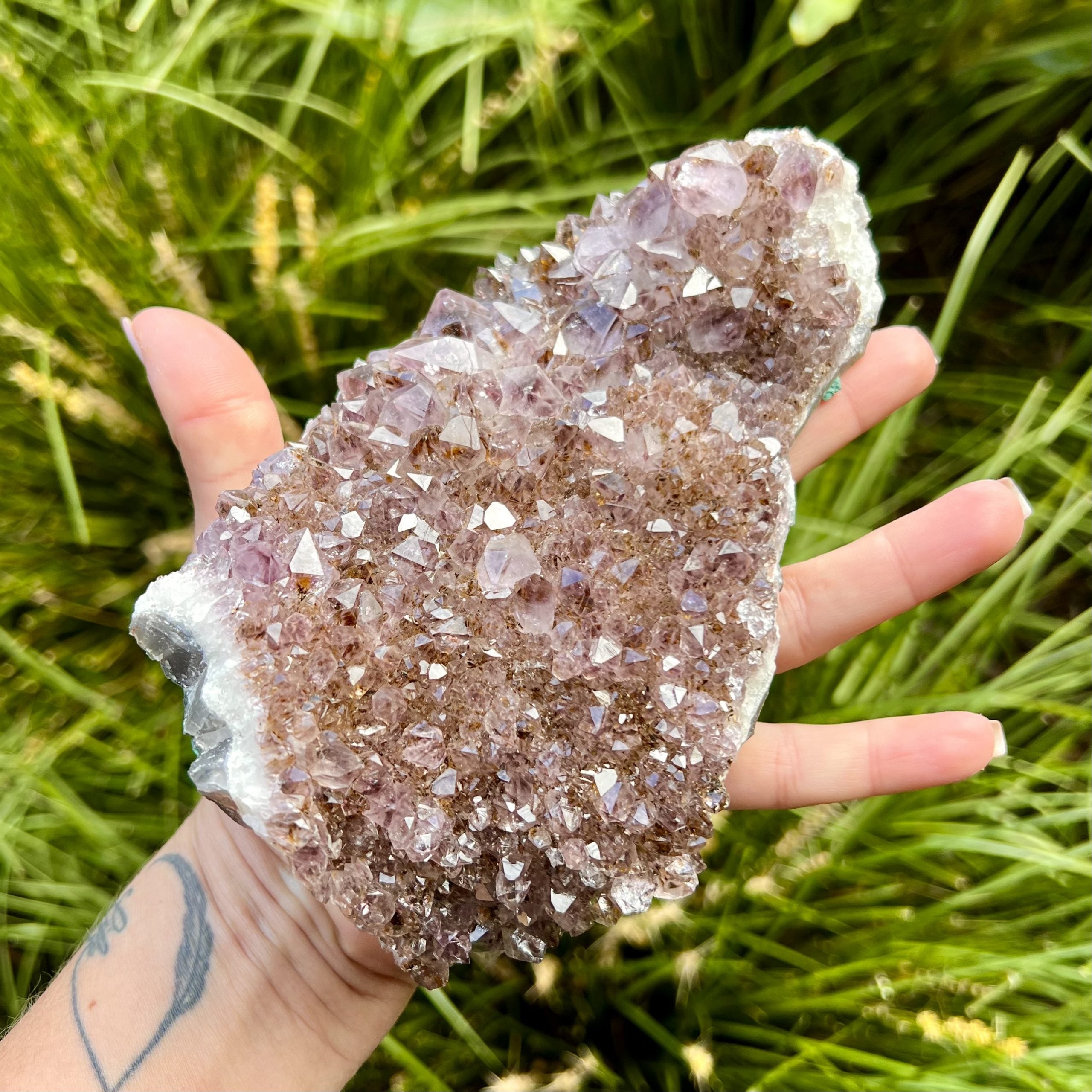 Amethyst Cluster #1483