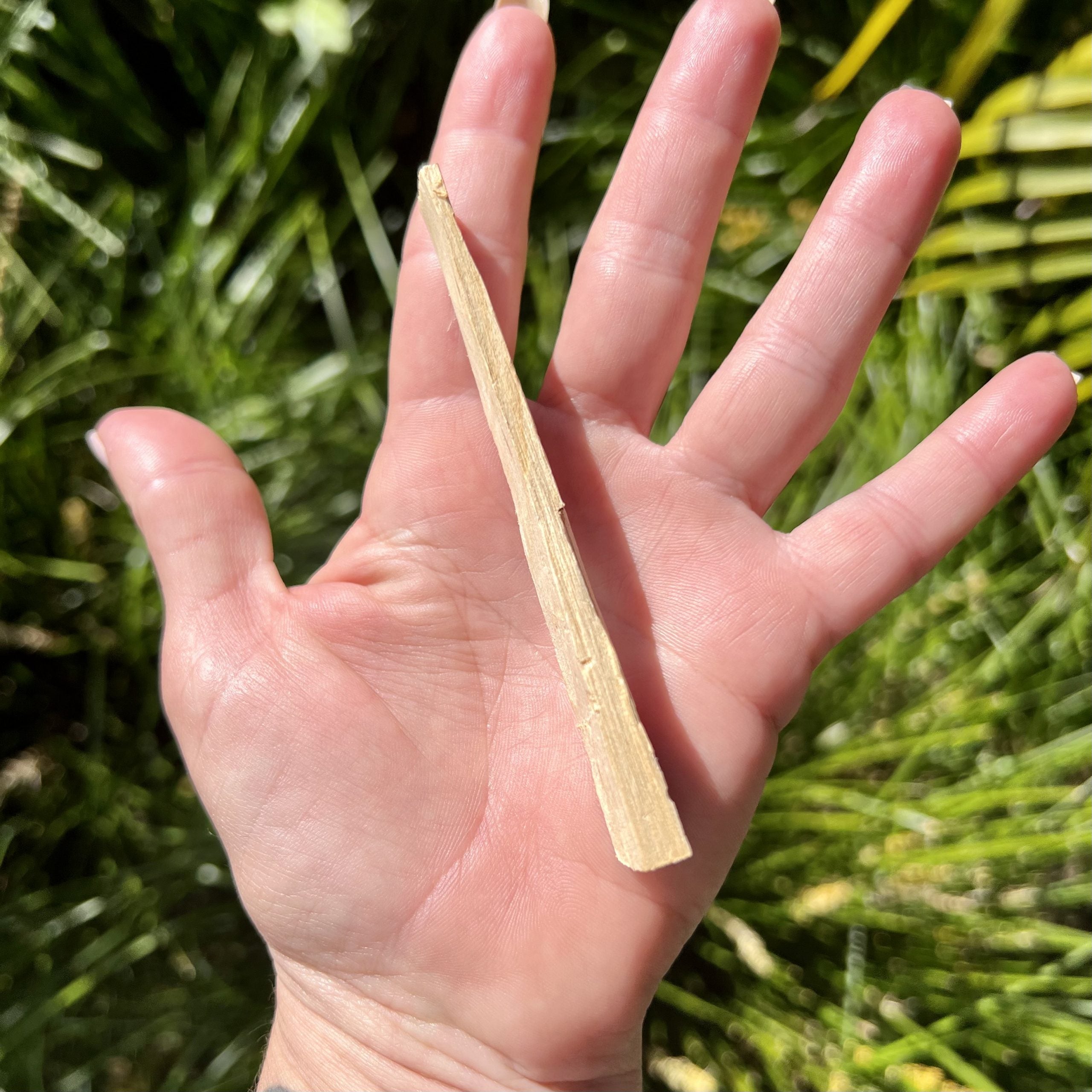 Palo Santo Stick Small #1503